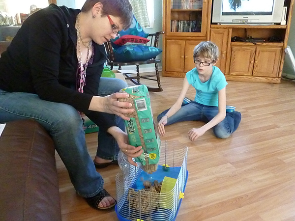 Putting a hamster habitat together