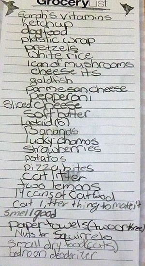 Grocery list handwriting practice