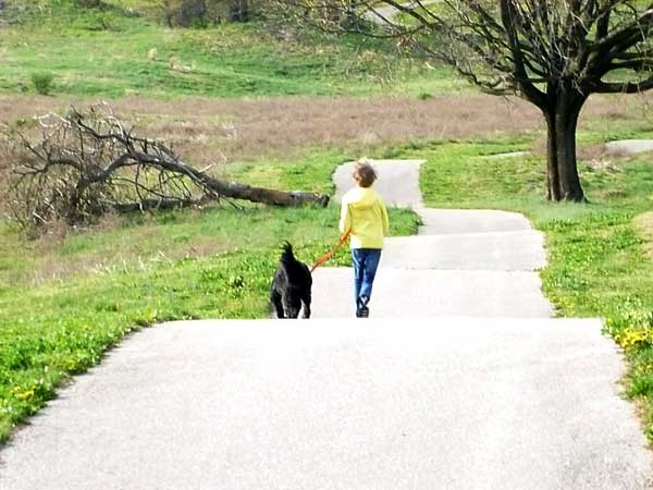 Exercising with the dog