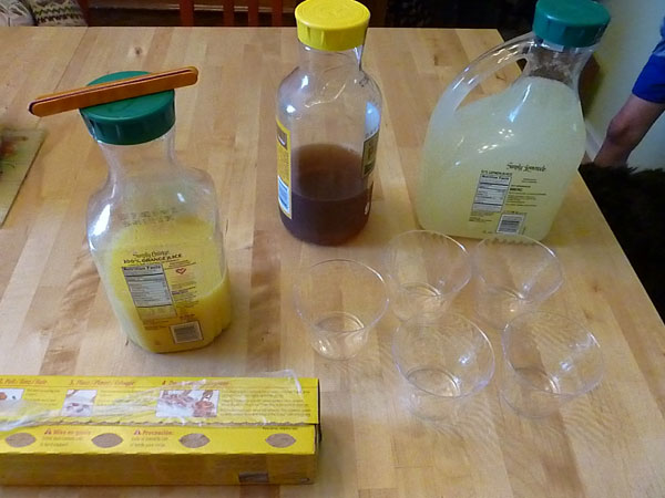 Ingredients for homemade ice pops