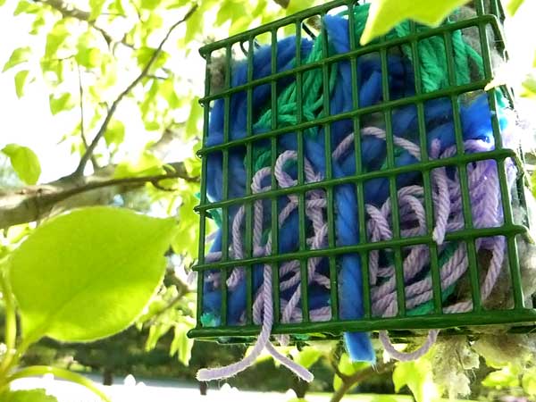 Making a nesting materials box for birds to use