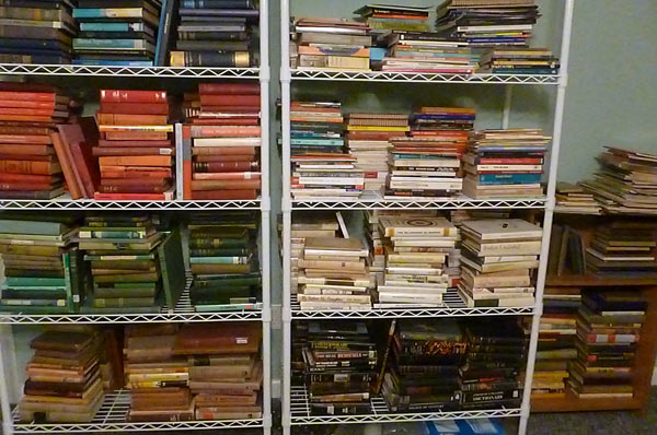 Bookshelf in homeschoolers' basement