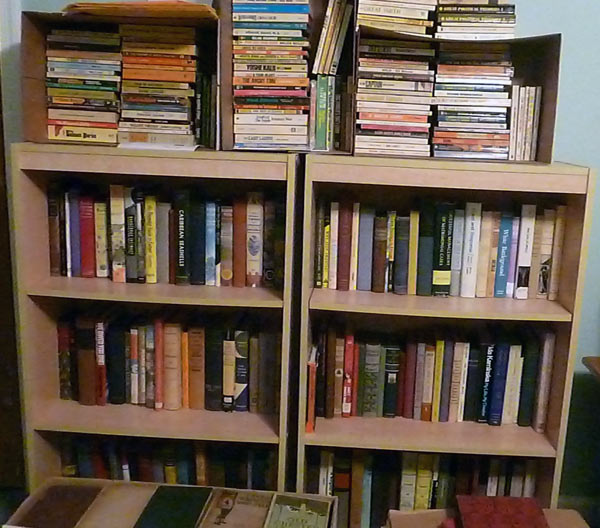 Bookshelf in homeschoolers' basement