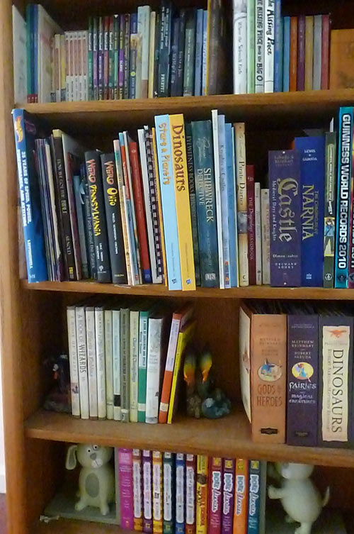 Homeschoolers' bookshelf in hallway