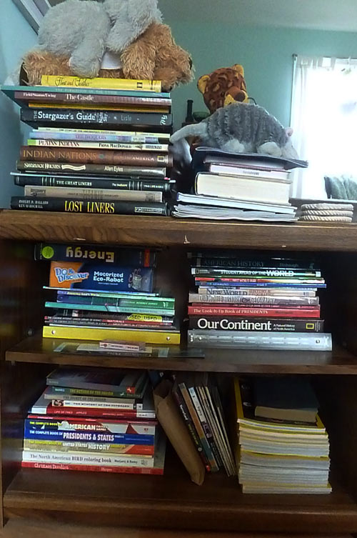 Bookshelf in homeschoolers' living room