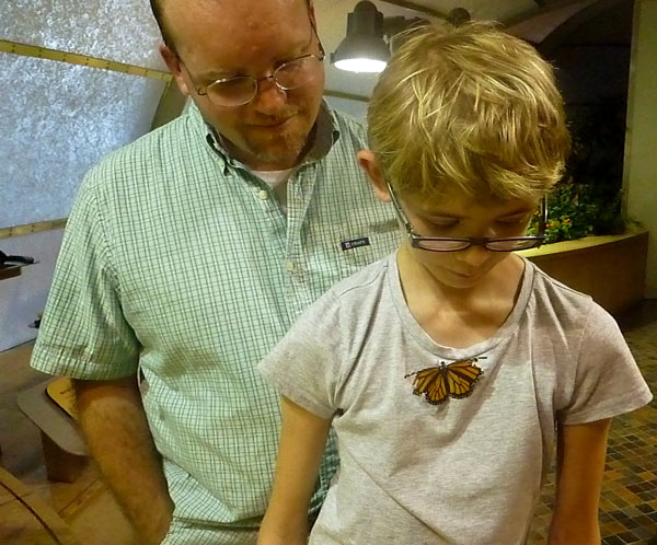 Butterfly Experience at the Smithsonian Museum of Natural History in Washington, D.C.