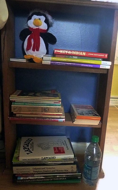 Homeschoolers' bookshelf in teenage daughter's bedroom