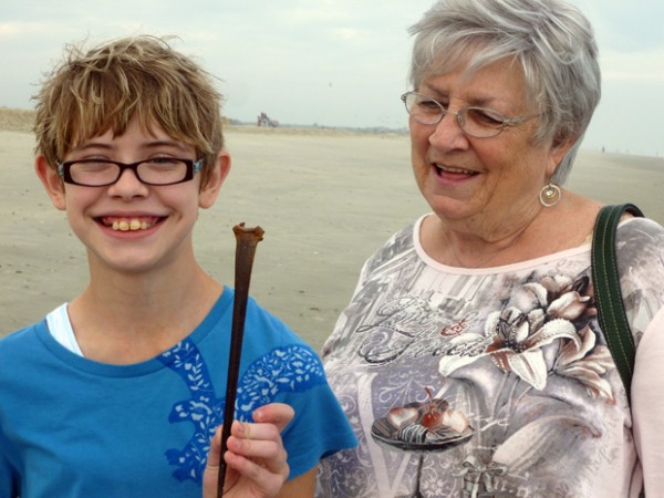 Horseshoe crab tail on the beach at Chincoteague