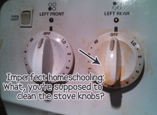 Imperfect homeschooling: Dirty stove knobs and all