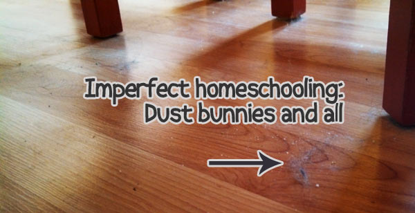 Imperfect homeschool: Dust bunnies and more