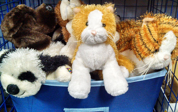 10 toys that last into the teen years, including Webkinz