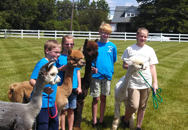 York County 4-H alpaca club at a 2013 show