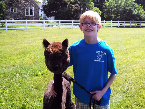 Ashar and Gia at 4-H alpaca show