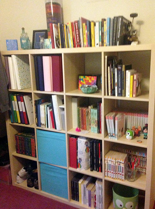 Unschool Rules bookshelves of an unschooling family