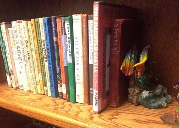 Unschool Rules bookshelves of an unschooling family