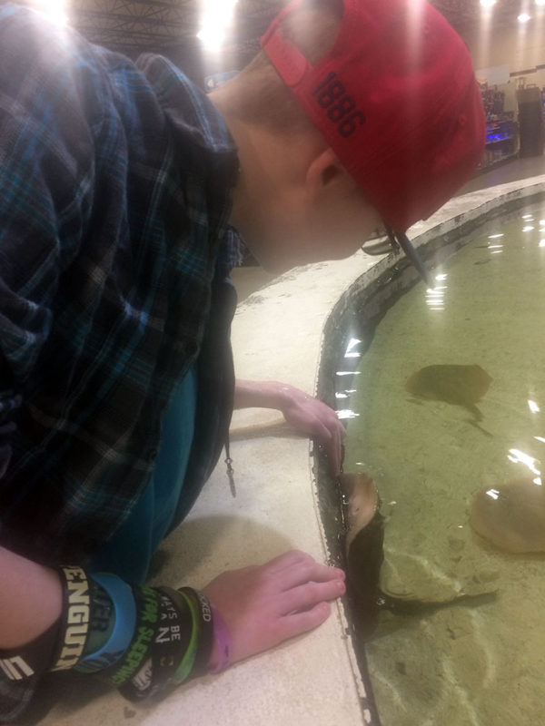 Unschooling on Unschool Rules: One of our favorite places to go is a huge pet emporium called That Fish Place/That Pet Place in nearby Lancaster County. They have a stingray tank where you can pet the rays, and Ashar loves it.