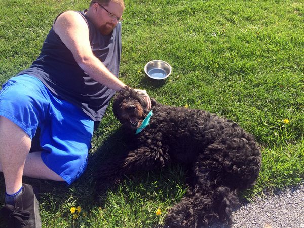 Unschool Rules unschooling wrapup - goldendoodle in park