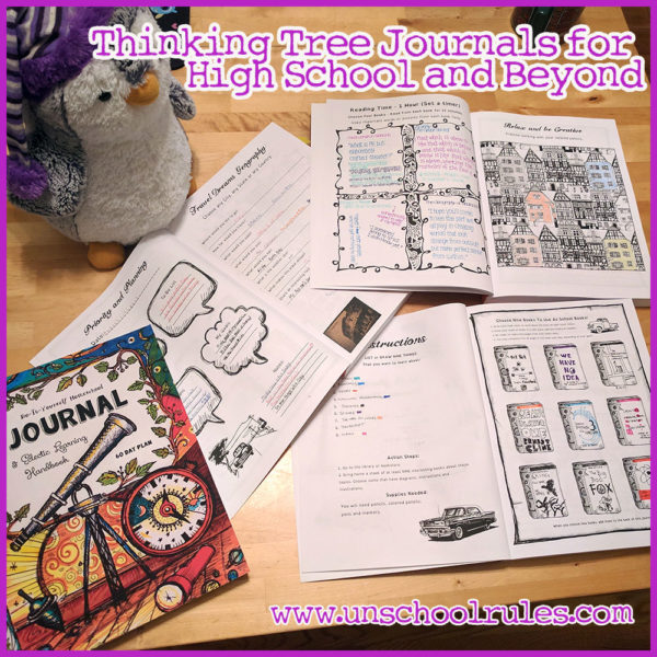 Unschool Rules: Our family's Thinking Tree journals