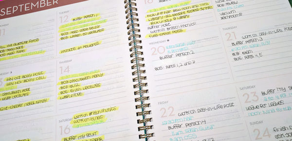 Unschool Rules guide to an unschooling planner system: A detailed look at the weekly log. Finished tasks are highlighted; appointments with fixed times are written in teal.